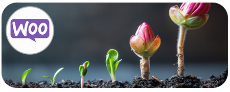 Boost WooCommerce